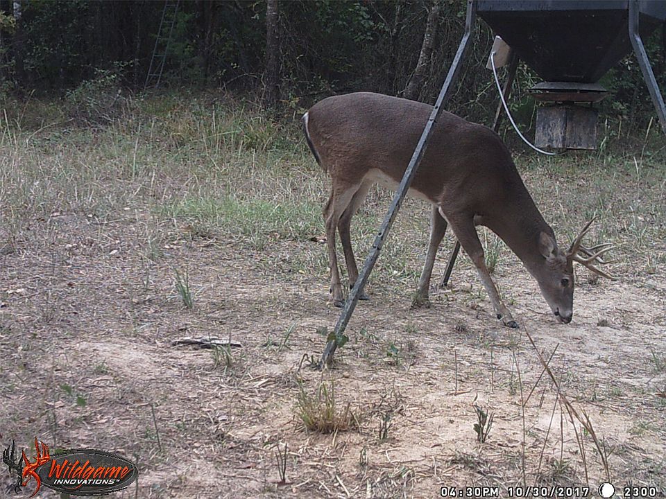 1st image of 139 NW County Rd #1061