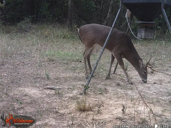 139 NW County Rd #1061, Talco, TX 75487