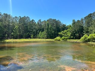 7 Carter Fish Pond Rd, Plains, GA 31780