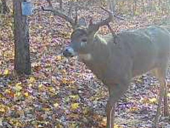 2nd image of Bashaw Store Rd