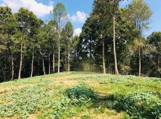 0 Wintersteen Run Rd, Blue Creek, OH 45616