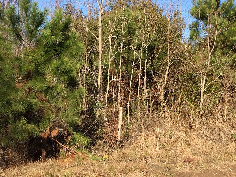 1st image of Demarco Ln