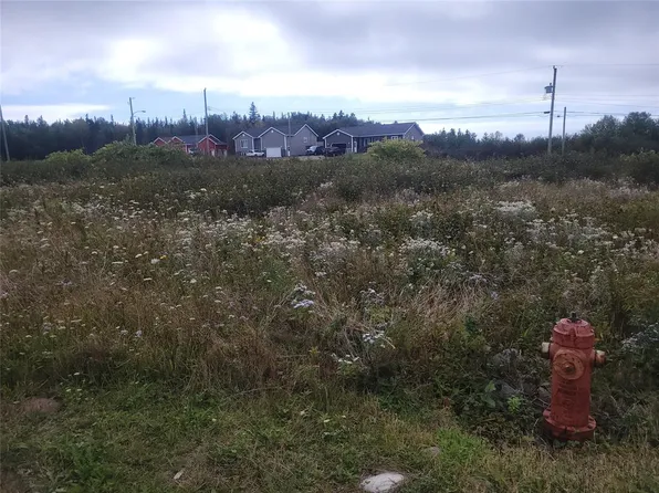 4 Logan Crescent, Stephenville, NL A2N0B7