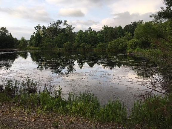 2nd image of 638 Summer Lakes Dr