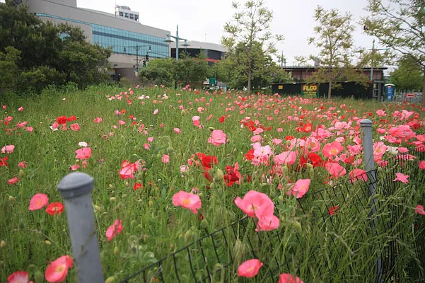 Rented by The James Ruff Group, LLC | media 27