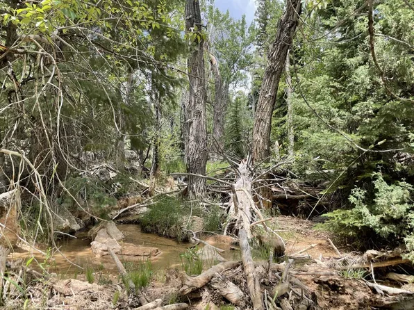 154-155 Maple Cir #Na, Duck Creek Village, UT 84762
