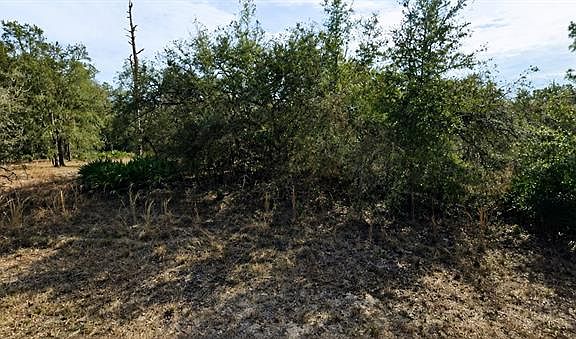 5th image of 33240 Tombstone St Lot 6