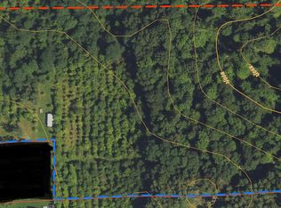 Montcalm Ave NE PARCEL 2, Greenville, MI 48838