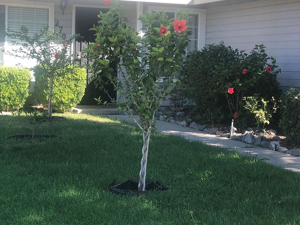 1st image of 2707 Blackwood Ct