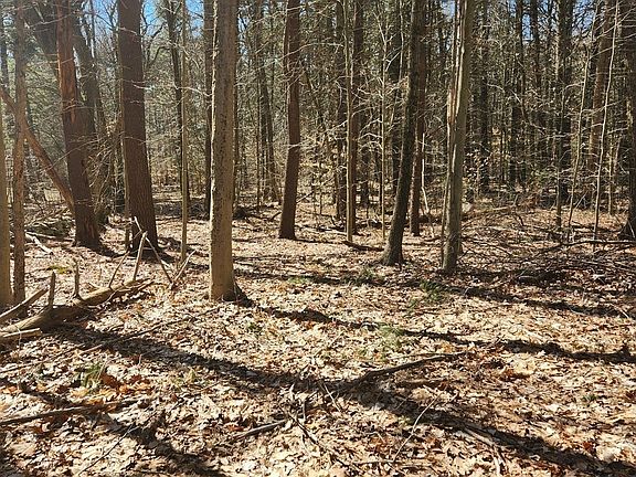 4th image of LOT 1-1A Bogastow Brook Rd