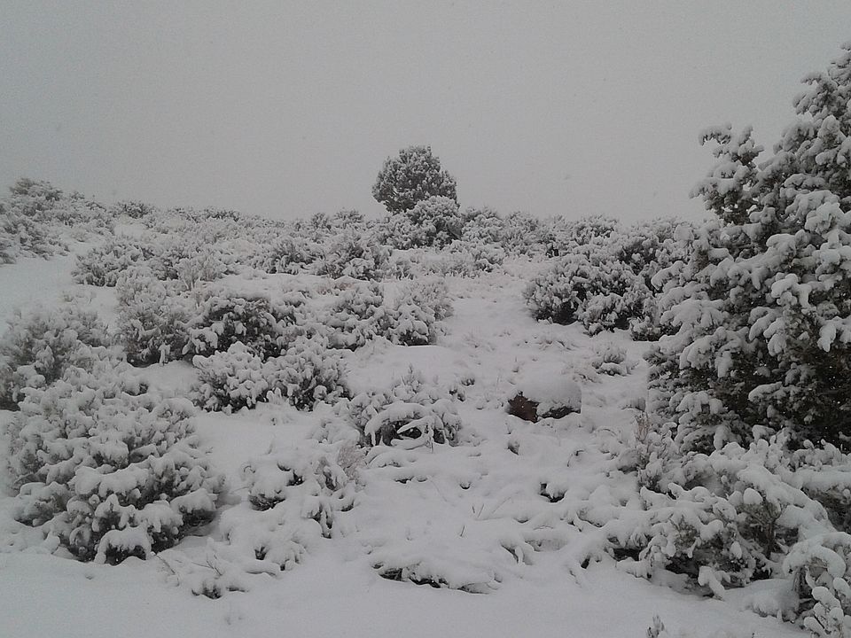 2nd image of 8024 W Hi Country Rd
