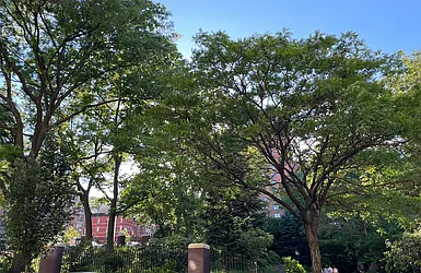 Rented by R New York