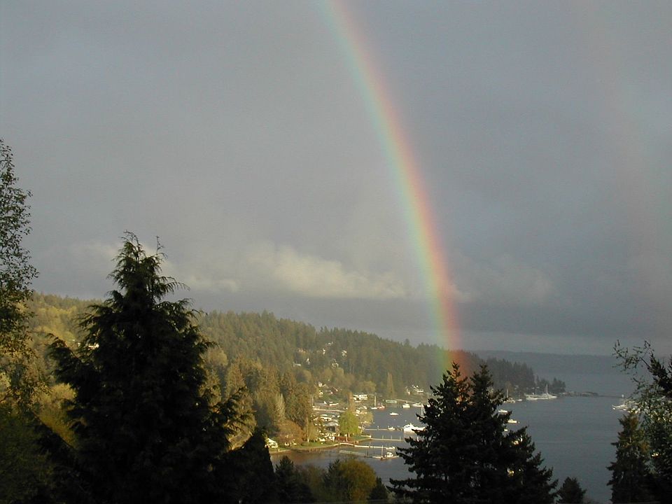 Harbor view