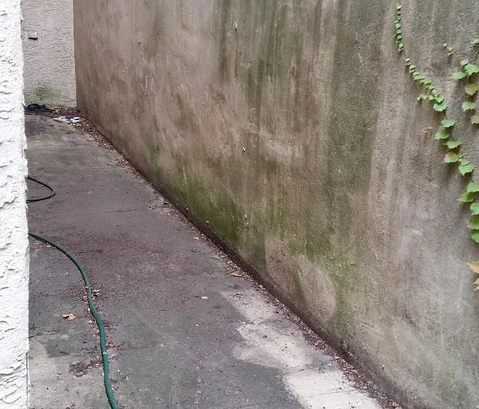 Private backyard area wraps around side of house