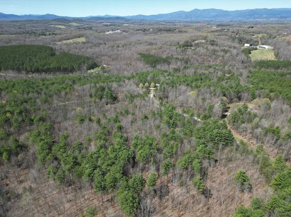 Walkers Mountain Rd, Arrington, VA 22922