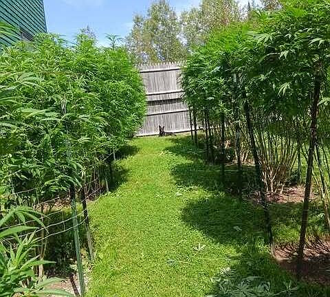 3rd image of 130 Farmers Hill Road