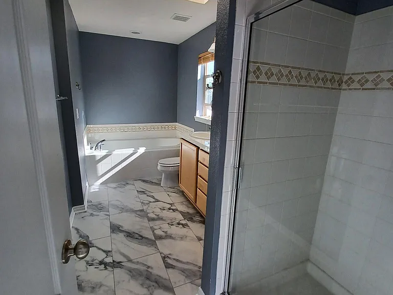 Master bathroom, shower, tub and skylight.