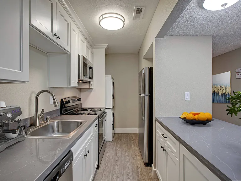 Contemporary Kitchen