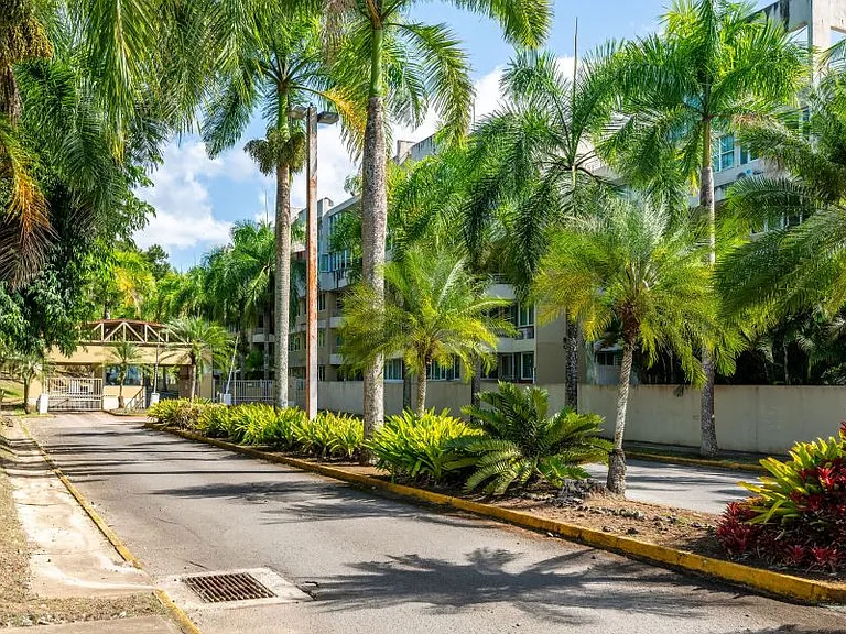 Cond Montecentro Apt L401 Calle Daguao 416 — Photo 46