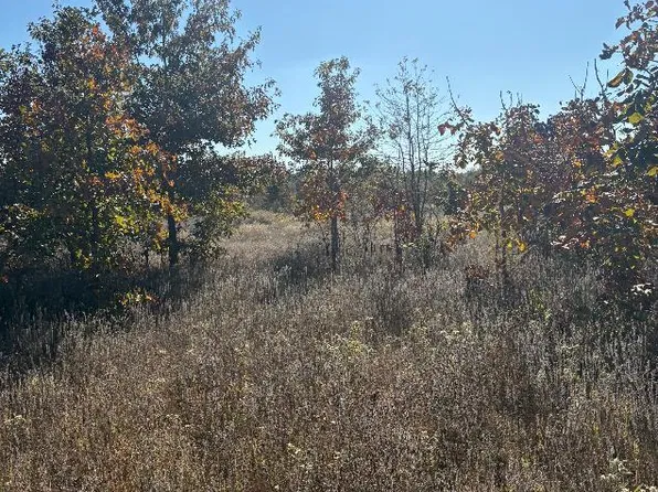 TRACT 13 Highway 990, Simms, TX 75574