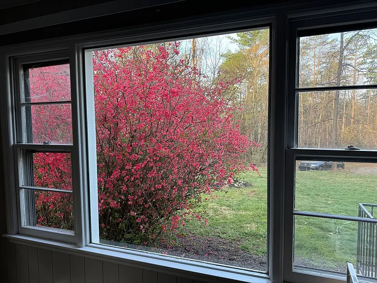 331 Gashes Creek Rd #1 — Photo 8