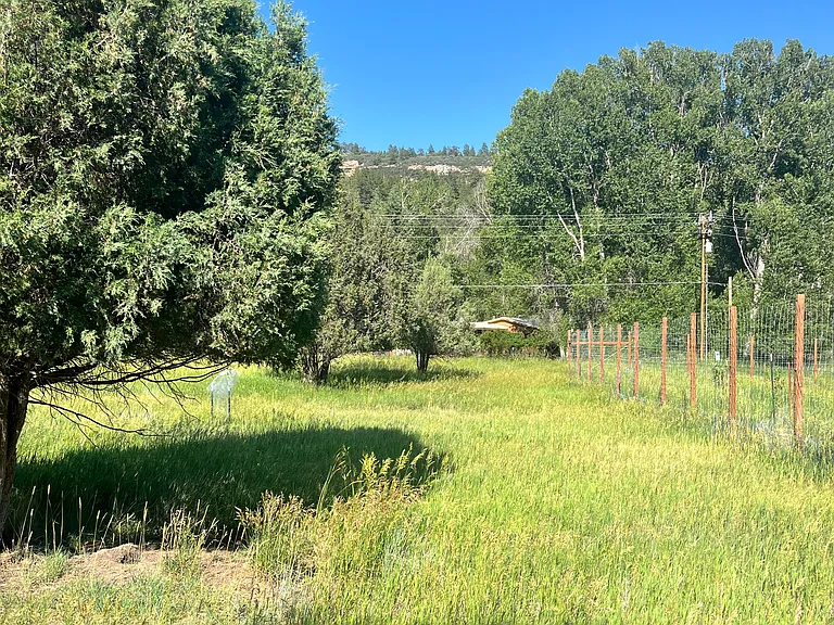 shared property, including edge of garden