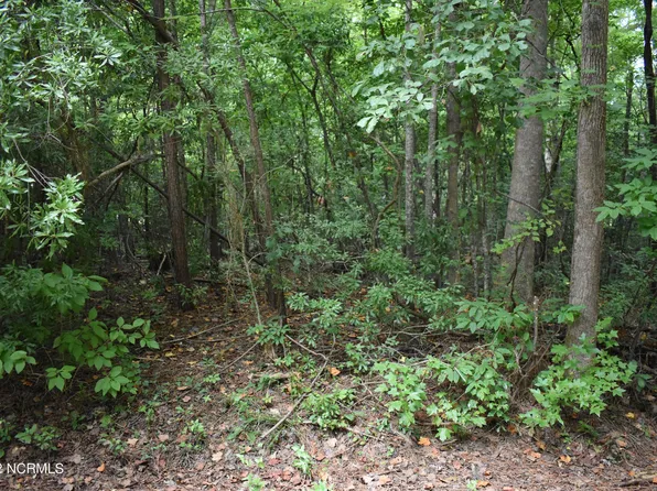 Lot 3 Maple Lane, Blounts Creek, NC 27814