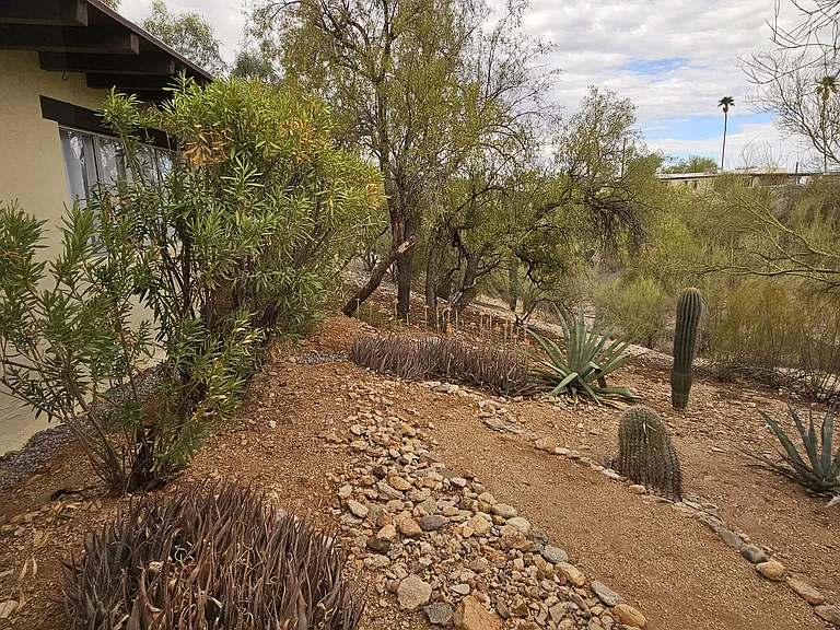 Side yard leads to a wash. Sit on the patio and watch the wildlife (just be cautious).