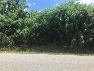 1161 Aletha Ave, Port Charlotte, FL, 33948