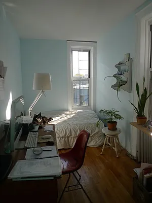 Rented by Coda Real Estate NYC | media 24