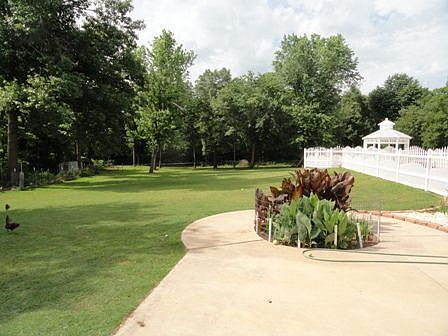 Back yard