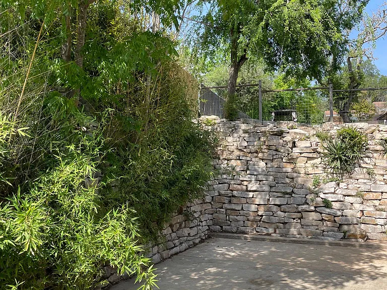 2200 San Jacinto Dr — Photo 8