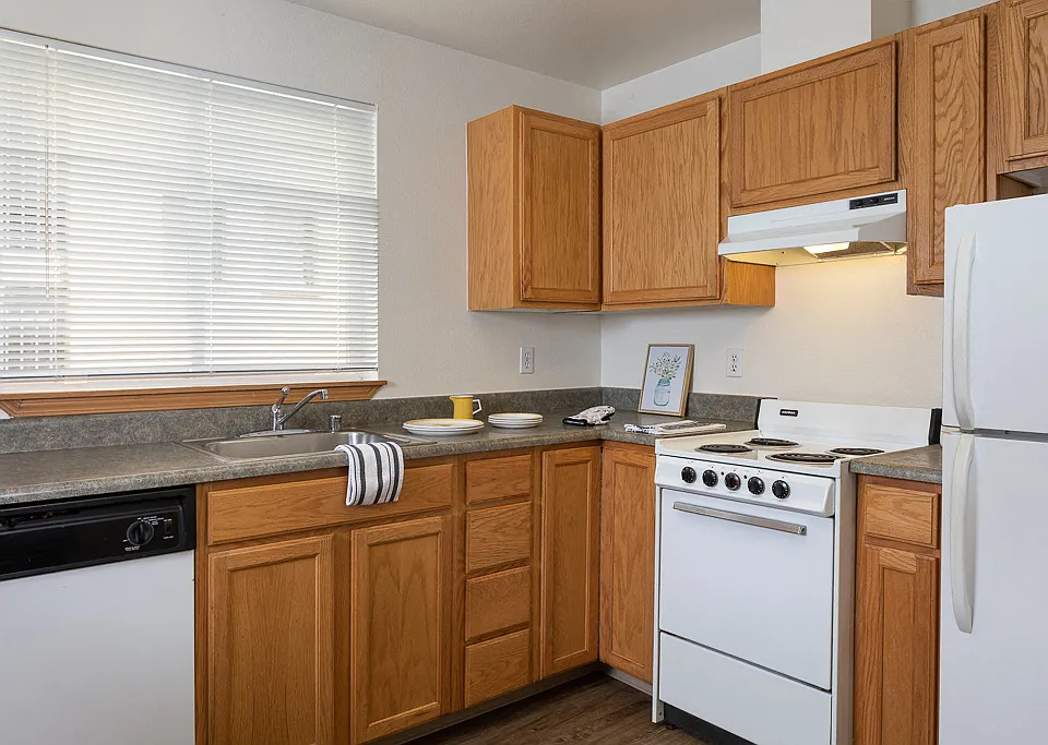 Modern Kitchen with Full Appliance Package