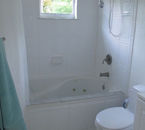 Master Bath with Jet Tub