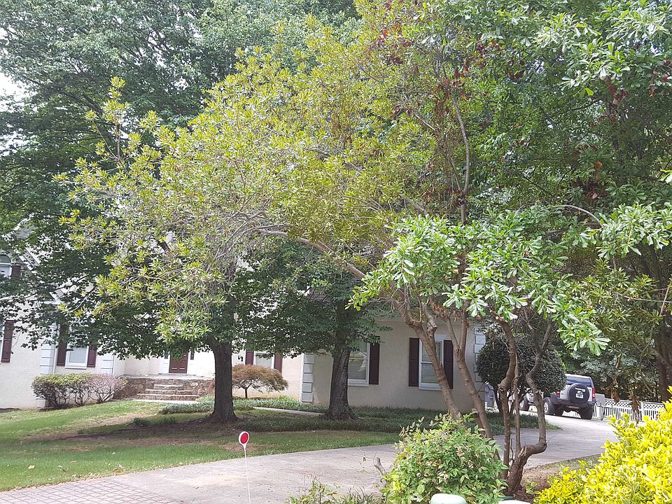 2nd image of 3019 Saint Andrews Ct