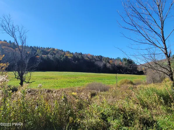 Fox Farm Hill Rd, Susquehanna, PA 18847