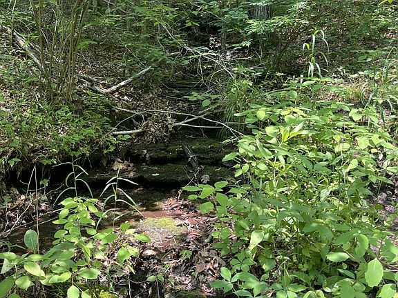 5th image of 7908 Daugherty Capley Rd