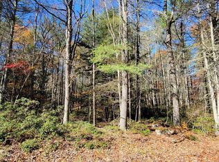 46 Forest Pond Rd, Narrowsburg, NY 12764