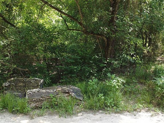 2nd image of LOT 36th