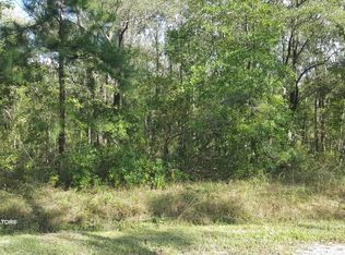 10140 Underwood Ave, Hastings, FL 32145