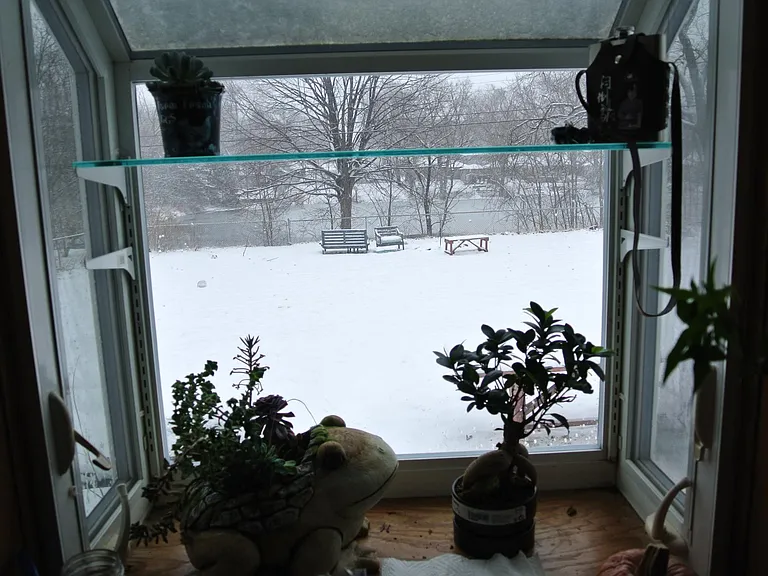Facing out the kitchen garden window, the backyard facing the pond. There is a firepit by the benches.