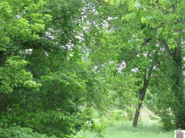 4868 Old Mayfield Rd, Paducah, KY 42003