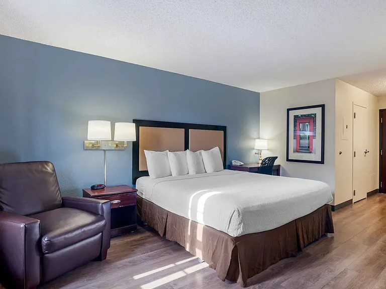 Studio Suite - 1 King Bed