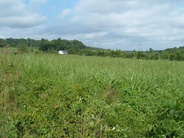 2nd image of 0 Tidwell Rd Lot 8