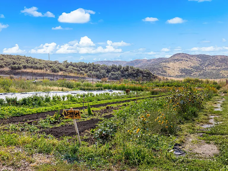 Local Farm + Farmers Market in subdivision