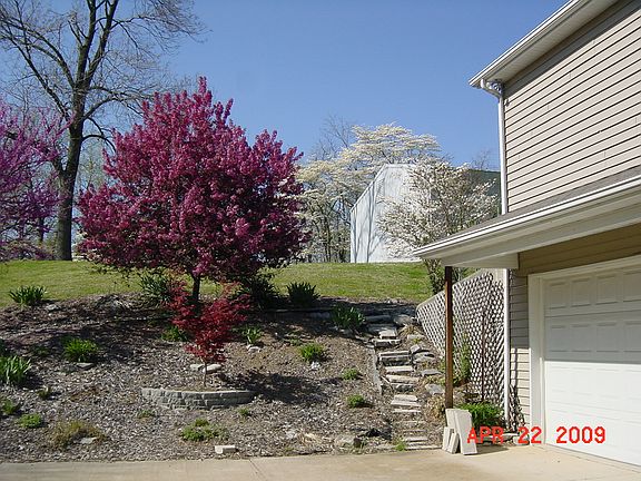 2nd image of 7825 Valorie Ct