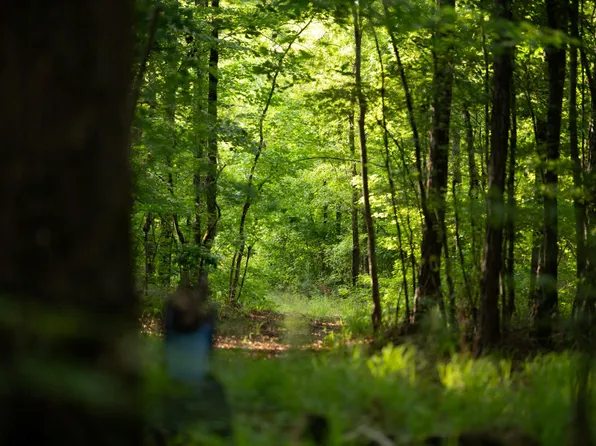 2719 NE Silas Mercer Road, Crawfordville, GA 30631