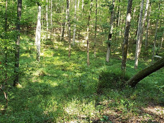 5th image of 3 Forest View Dr #3