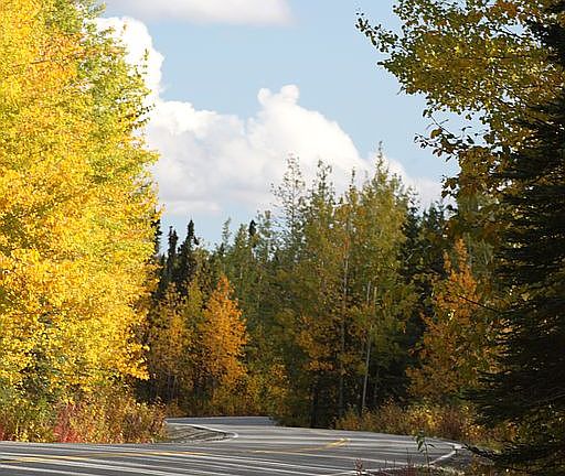 Fall Colors