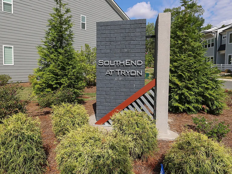 Vibrant Lower South End Community
